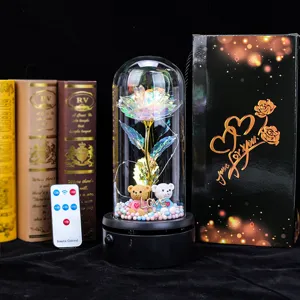 Detailed view of eternal gold foil rose in glass dome with glowing LED lights and remote
