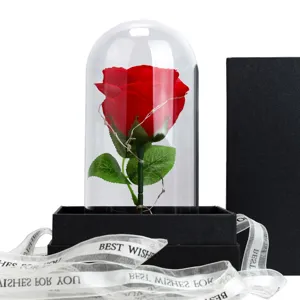 Exquisite eternal red rose in a glass dome with warm LED lights and Best Wishes ribbons