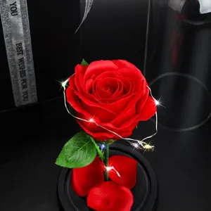 Close-up of preserved red rose in glass dome with warm LED fairy lights
