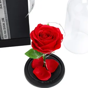 Detailed view of a red preserved rose in a glass dome with LED lights and gift box