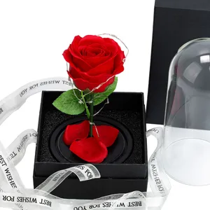 Eternal red preserved rose flower gift set in glass dome with LED lights and Best Wishes ribbon