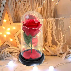 Enchanted red rose in a glass dome with warm LED string lights for a romantic gift