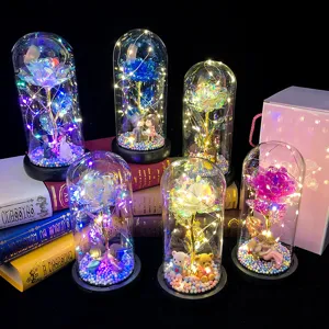 Detailed view of eternal roses in glass domes with LED lights and figurines.