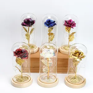 Collection of colorful gold foil roses in glass domes featuring twinkling LED fairy lights