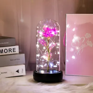 Romantische ewige Rose in Glasglocke mit LED Lichterkette, ideales Valentinstag Geschenk Dekor.