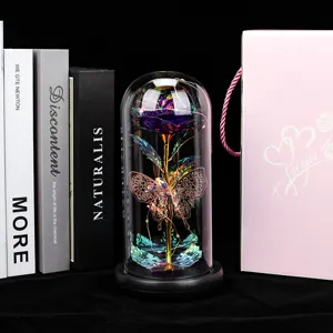 Rose Galaxy dans Dôme en Verre avec Papillon et Lumière LED Cadeau Saint Valentin