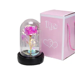 Galaxie Gold Rosenblume in Glas Kuppel mit Geschenkbox Valentinstag LED Licht Dekor