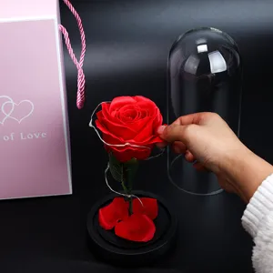 Handmade eternal artificial red rose in glass dome with LED lights and pink gift box
