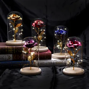 Sammlung von verzauberten Metallrosen in Glaskuppeln mit LED-Lichtern auf Büchern