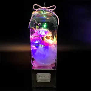Boîte cadeau de fleurs de savon d'œillet artificiel avec lumières LED pour la fête.