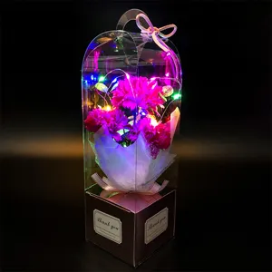 Vue détaillée d'un bouquet de fleurs d'oeillet artificiel avec guirlande lumineuse LED colorée en boîte
