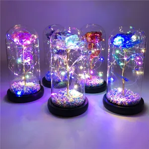 Nahaufnahme von Galaxie-Rosen in Glaskuppeln mit bunten LED-Lichterketten