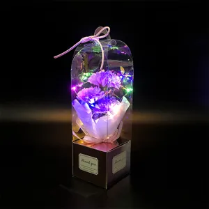 Boîte cadeau de fleurs de savon œillet avec lumière LED, cadeau romantique fête mères