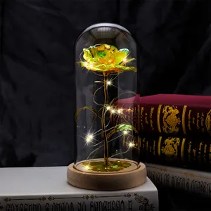 Nahaufnahme einer Regenbogen-Goldrose in einer Glaskuppel mit LED-Lichterkette auf Holzsockel.