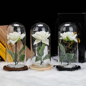 Detalle de rosas blancas en cúpulas de vidrio con luces LED cálidas y bases de madera
