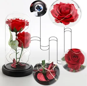 Detailansicht der Rosenkuppel aus Glas mit LED Lichterkette und Sockel als Geschenkdekoration.