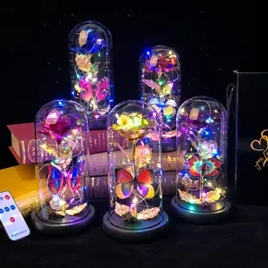 LED cúpula de cristal rosa eterna regalo San Valentín lámpara de mesa vista de detalle