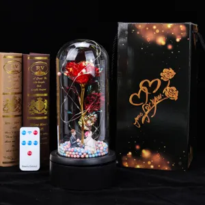 Detailed view of eternal gold-foil rose in glass dome with elegant gift box and remote