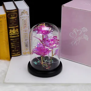Rosa iridiscente rosa en cúpula de vidrio con luces LED y caja de regalo rosa San Valentín