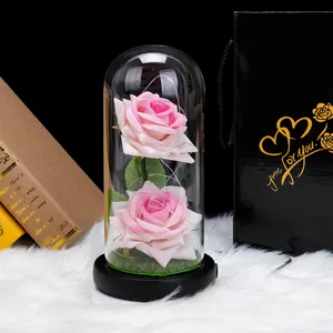 Dos rosas eternas rosas en cúpula de vidrio con luces LED y bolsa de regalo negra