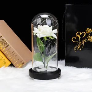 Rosa blanca en cúpula de cristal con luces LED, incluye bolsa de regalo negra para San Valentín