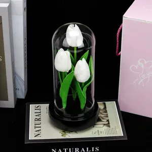 Dôme en verre tulipe blanche veilleuse fleur artificielle décoration de bureau cadeau