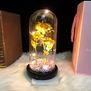 Valentine gold rose glass dome with LED string lights and USB charging base for romantic decor.