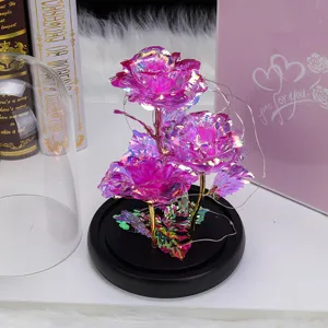 Rosas Galaxy en cúpula de vidrio con luces LED, regalo creativo de San Valentín