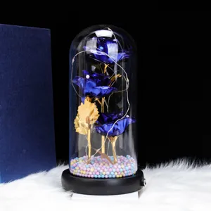 Detail view of the eternal blue rose glass dome with LED string lights and base for romantic gifts.