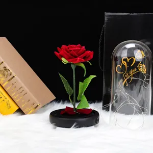 Vista detallada de una rosa roja de terciopelo con luces LED y cúpula de cristal de regalo