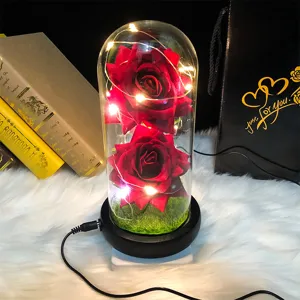 Primer plano de dos rosas de terciopelo rojo en una cúpula de cristal iluminada con bolsa.