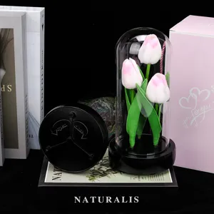 Dôme en verre tulipe fleur artificielle veilleuse et boîte à musique rotative pour déco.