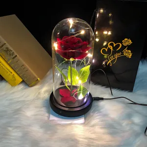 Rosa de terciopelo rojo en cúpula de cristal con luces LED y caja de regalo