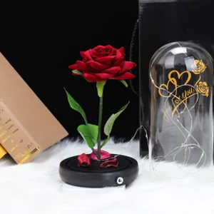 Vista detallada de una rosa roja de terciopelo con luces LED y cúpula de cristal