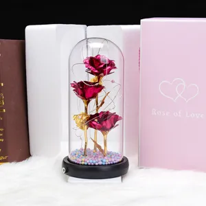 Valentine's Day Gift 3-Head Foil Rose Glass Dome with LED Lights USB Rechargeable