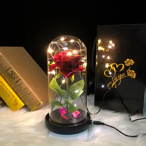 Rosa roja encantada en cúpula de cristal con luces LED y bolsa regalo para San Valentín.