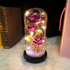 Close-up of gold rose in glass dome with warm LED string lights and colorful foam base detail.