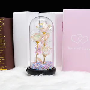 Valentine gift LED glass dome rose eternal flower with colorful balls base USB charging