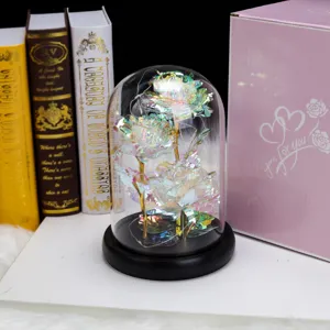 Primer plano de rosas iridiscentes en cúpula de vidrio con luces LED y caja de regalo rosa.