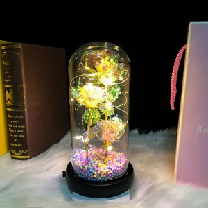 Detailed view of the enchanting glass dome eternal rose LED light gift with colorful base.