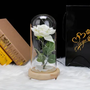 Rosa de terciopelo blanco en cúpula de vidrio con luces LED para San Valentín