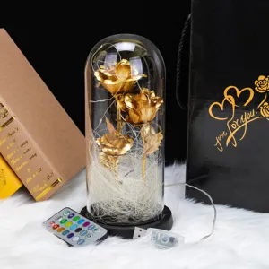 Gold rose glass dome detail view with LED fairy lights, remote control and USB plug setup.