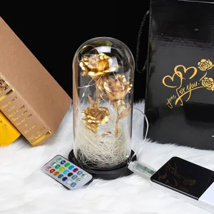 Gold foil rose in glass dome with LED lights, remote control and USB power for gift.
