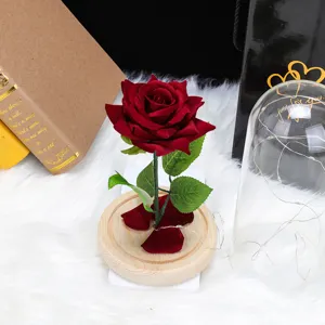 Elegante rosa roja de terciopelo en cúpula de vidrio con luces de cadena LED