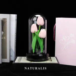 Vue détaillée de la veilleuse tulipe rose sous cloche en verre avec socle noir et livres décoratifs.