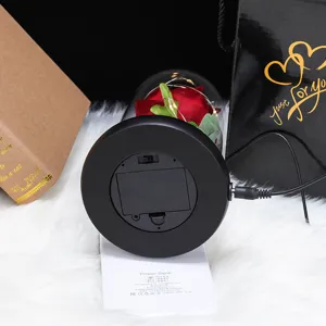 Detalle funcional de la entrada de CC para la rosa eterna LED en cúpula de vidrio