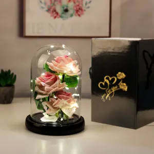 Dettaglio di tre rose di velluto rosa in una cupola di vetro con eleganti luci LED