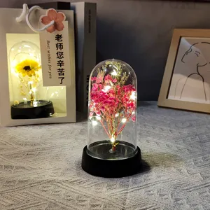 Λεπτομέρεια φωτός νυκτός γυάλινου θόλου με LED διατηρημένη γυψοφύλη και λουλούδια.