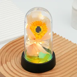 Veilleuse LED dôme en verre tournesol cadeau romantique décoration bureau veilleuse lampe