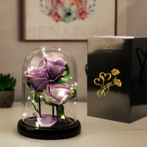 Eleganti rose di velluto viola in cupola di vetro con luci LED e confezione regalo nera